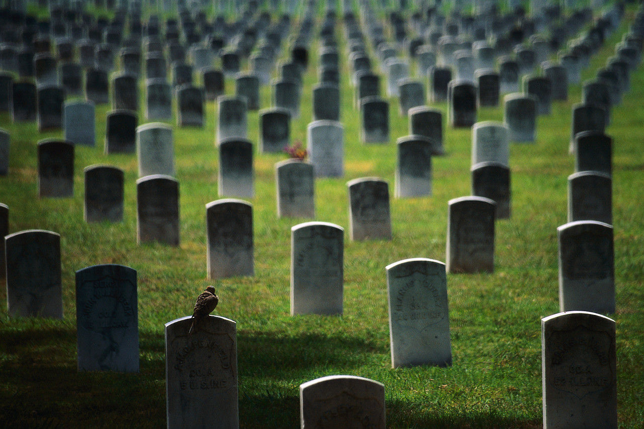 Study Death Happens Slowly And Can Be Delayed Al Rasub