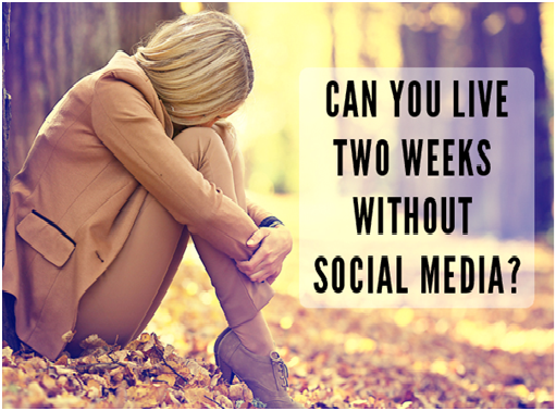 Francsica Lachapels Social Media More Than Just Posts Its Impact - oxk2uzu